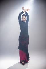 Sombra Skirt Tulle Stretch Print Adult