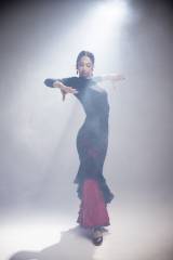 Sombra Skirt Tulle Stretch Print Adult