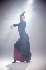 Sombra Skirt Tulle Stretch Print Adult