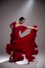 Vestido Olas Punto Elástico Adulto