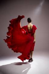 Vestido Olas Punto Elástico Adulto