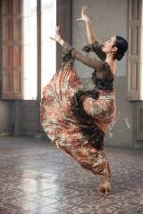 Falda Schermo Punto Elástico Estampado Adulto