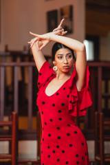 Vestido Temple Punto Elástico Estampado Adulto