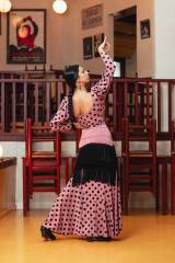 Lebrija Skirt Knit Stretch Print Adult