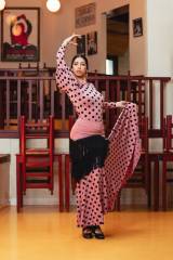 Lebrija Skirt Knit Stretch Print Adult