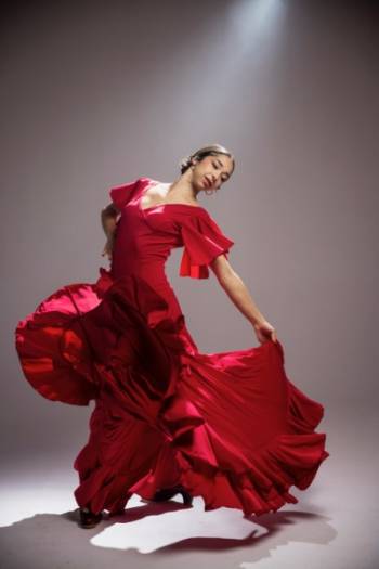 Flamenco 2024
